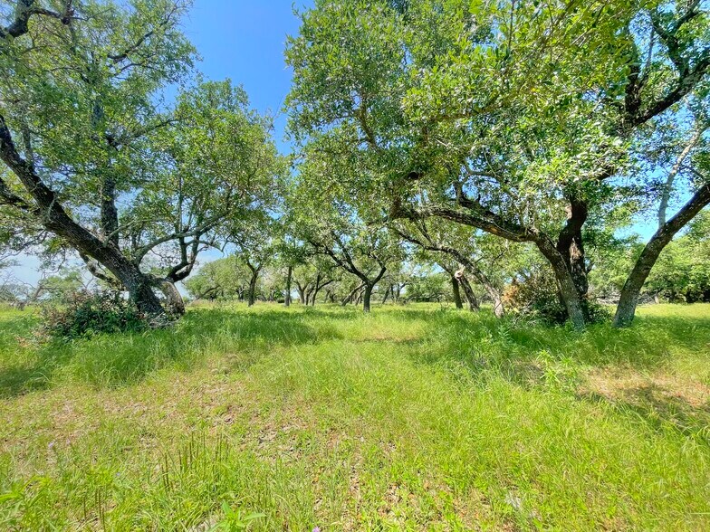 More Photos Of County Road 253, Bertram Land For Sale