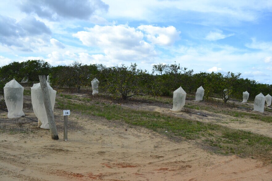 More Photos Of Scenic Highway, Babson Park Land For Sale