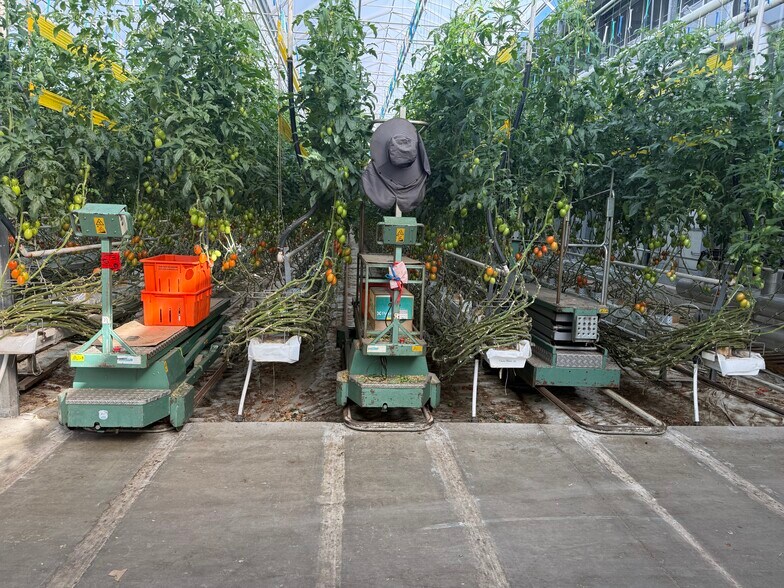 More Photos Of 11312 Range 63 rd, Cypress County Industrial For Sale