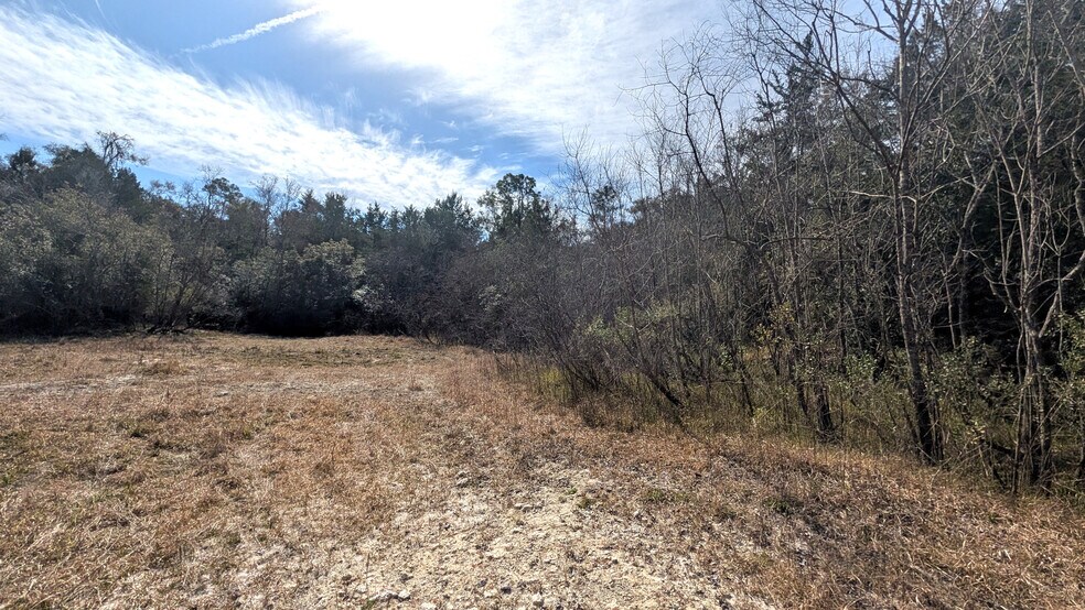 More Photos Of 13550 NW Old Fannin Rd, Chiefland Land For Sale