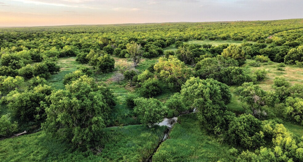 More Photos Of 1510 US Highway 83, Childress Land For Sale