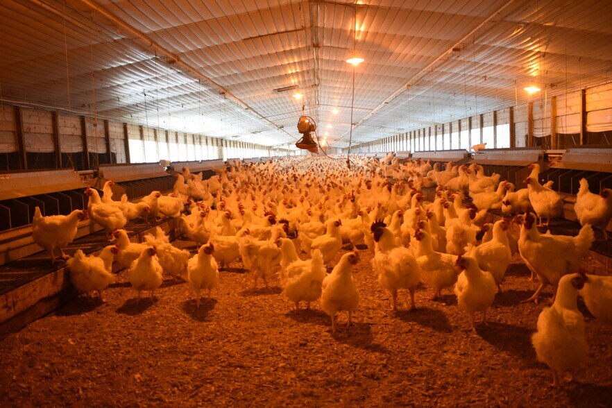 More Photos Of 441 Weaver Rd, Moultrie Land For Sale