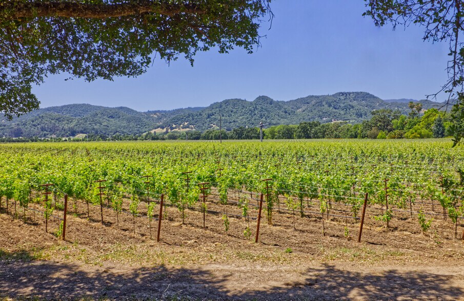More Photos Of 6160 St Helena hwy, Napa Land For Sale