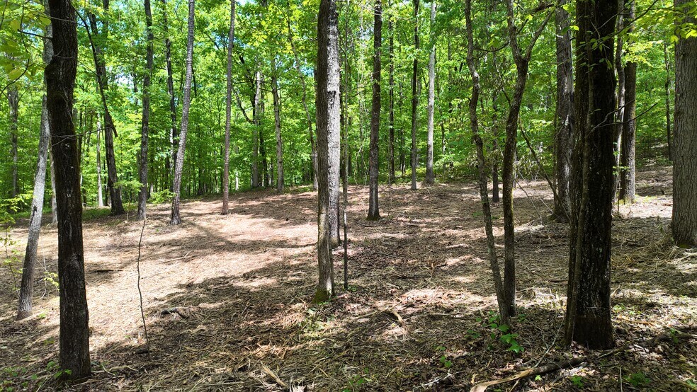 More Photos Of 0 Bullock Bridge Rd, Monroe Land For Sale