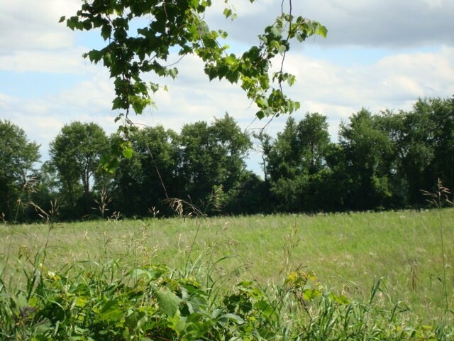 More Photos Of Parks Rd, Oakland Township Land For Sale