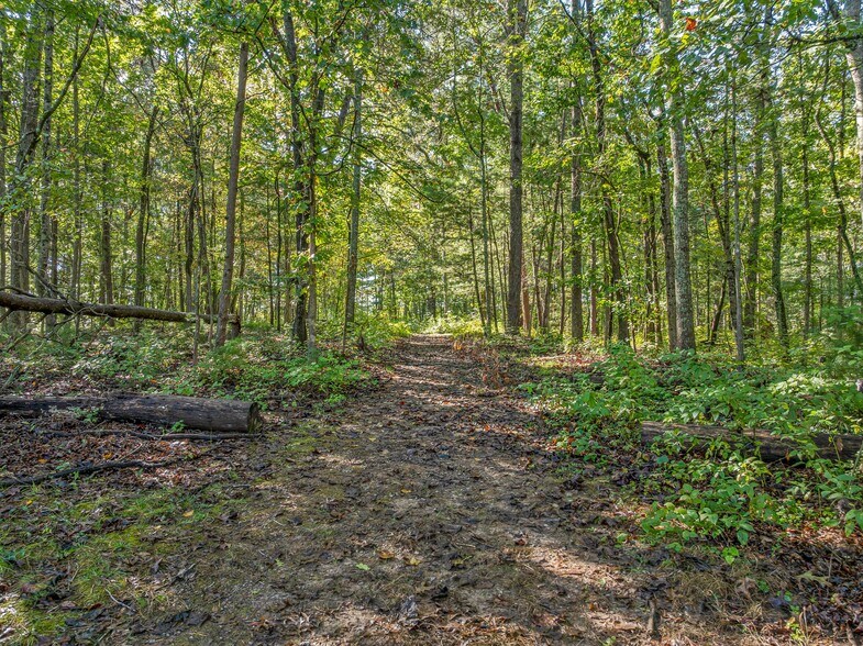 More Photos Of 99999 Hi Alta, Asheville Land For Sale