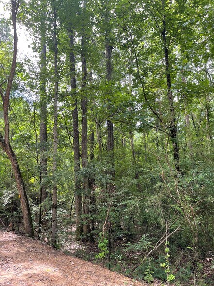 More Photos Of 17796 Dry Branch loop, Northport Land For Sale