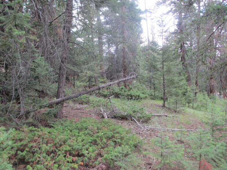 More Photos Of 26764 R Ln, Conifer Land For Sale