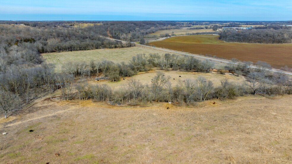 More Photos Of 17430 State HWY 0, Stark City Land For Sale