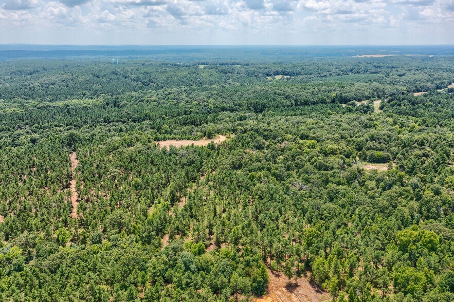 More Photos Of TBD State Hwy 64, Tyler Land For Sale
