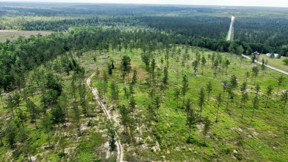 More Photos Of County Road 64, Robertsdale Land For Sale