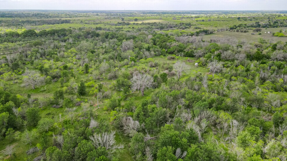 More Photos Of TBD Sparta Field Road, Waelder Land For Sale