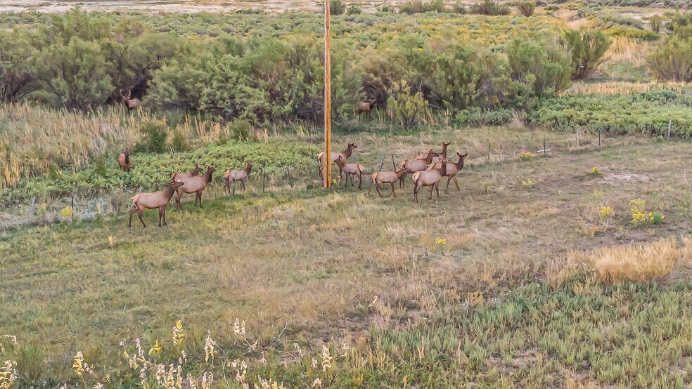 More Photos Of 41009 County Road 5, Meeker Industrial For Sale