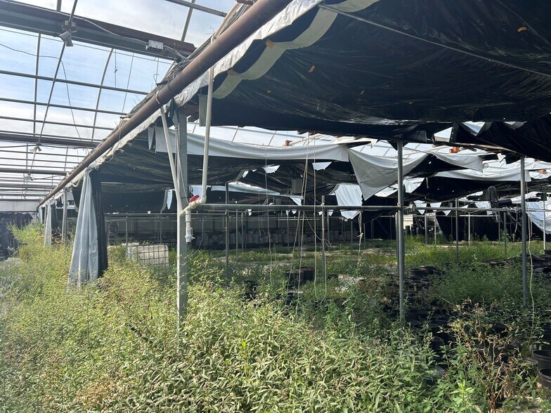 More Photos Of 43634 Hwy 3, Wainfleet Garden Center For Lease