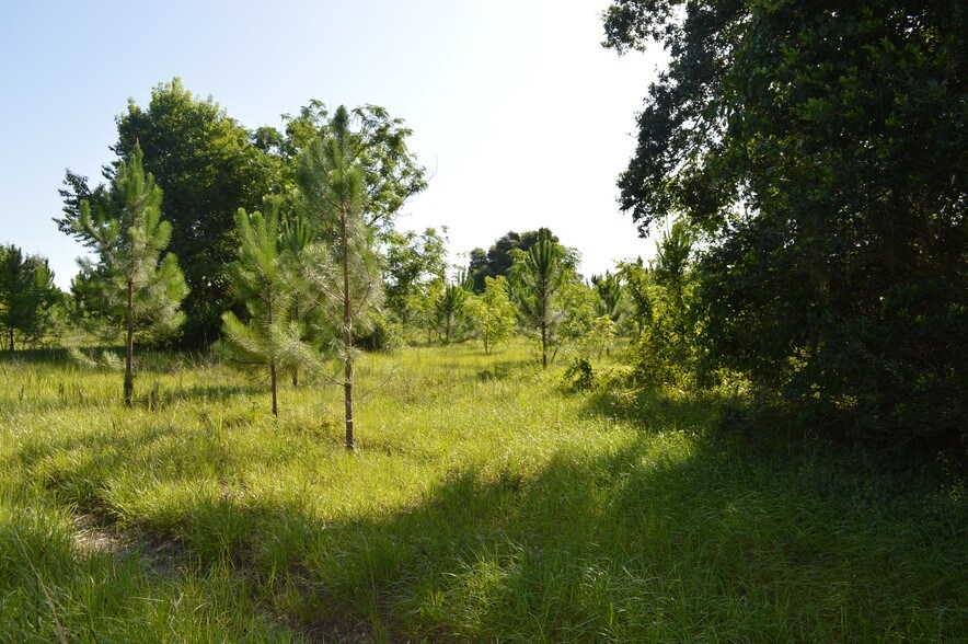 More Photos Of Myrtle Lake Ave, Fruitland Park Land For Sale