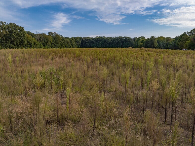More Photos Of 0 US Highway 20, Laporte Land For Sale