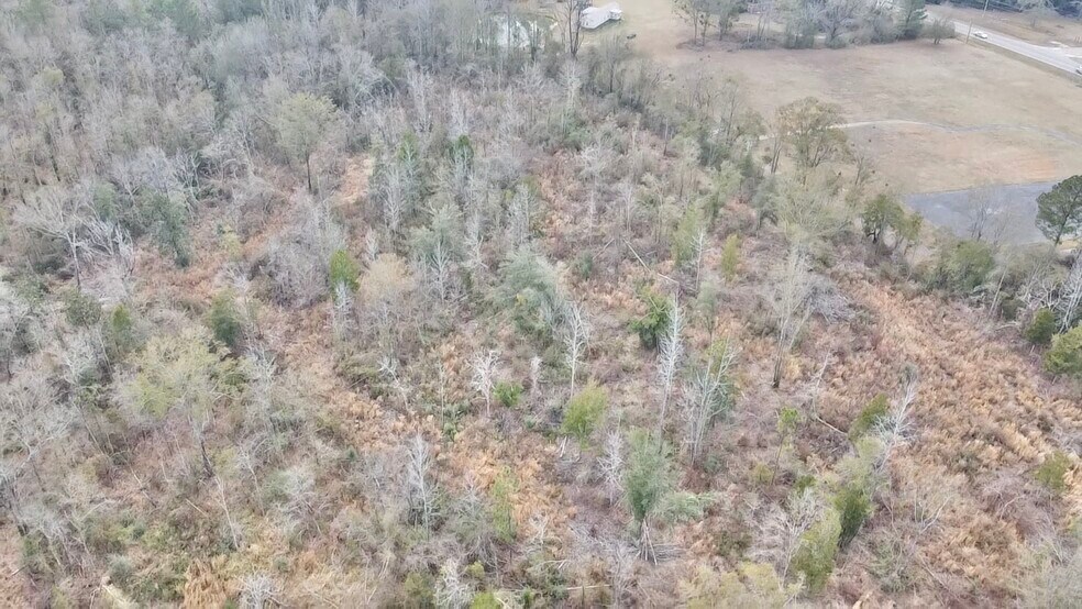 More Photos Of 52000 Block US-31 Hwy, Perdido Land For Sale