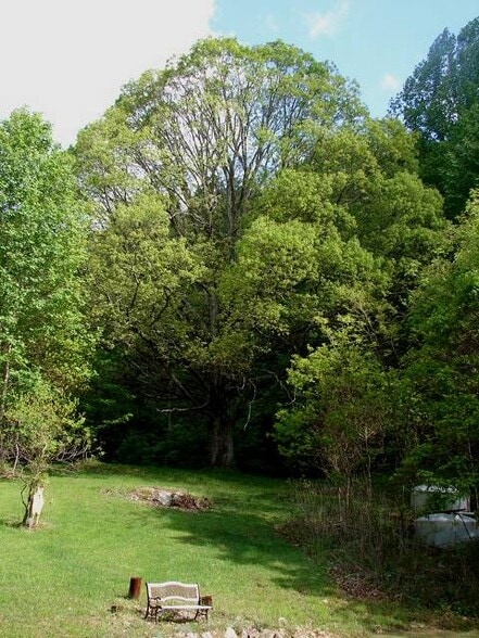 More Photos Of Songbird Ln, Green Sulphur Springs Land For Sale