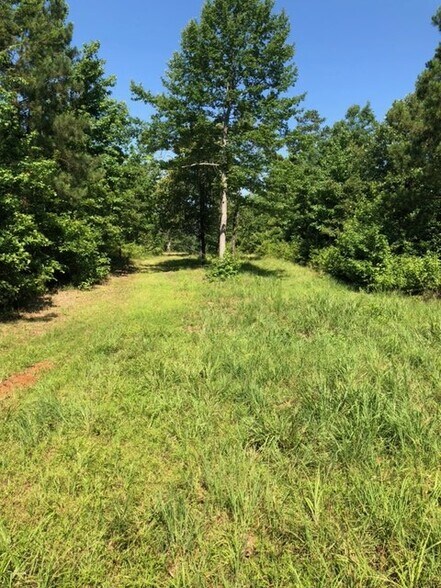 More Photos Of Hwy 157, Plain Dealing Land For Sale