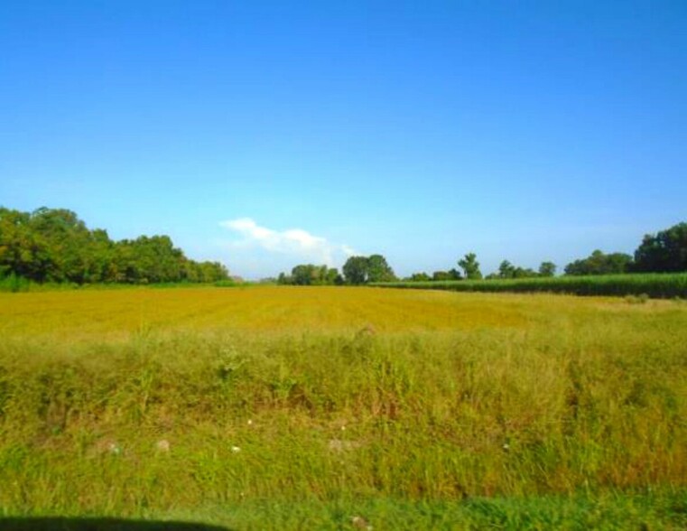 Primary Photo Of Tract B 190 Hwy, Port Allen Land For Sale