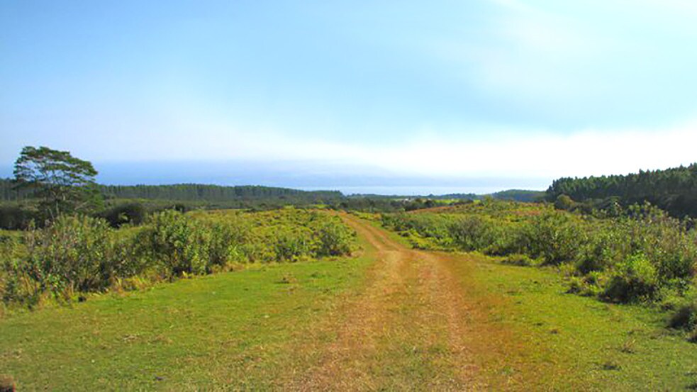 More Photos Of 27-5159 Puia Rd, Papaikou Land For Lease