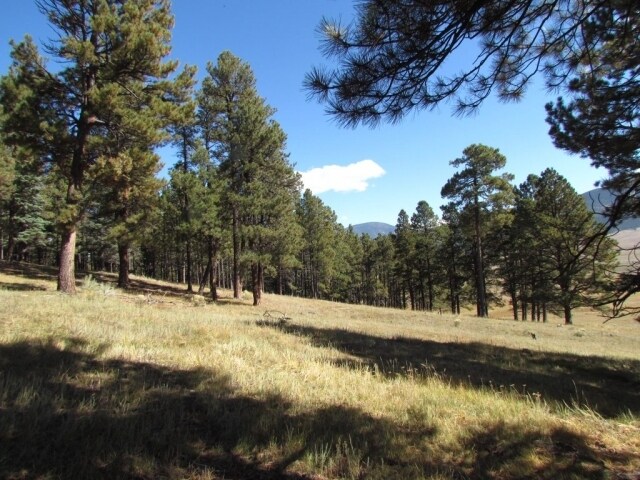 More Photos Of 27989 Highway 64, Eagle Nest Land For Sale