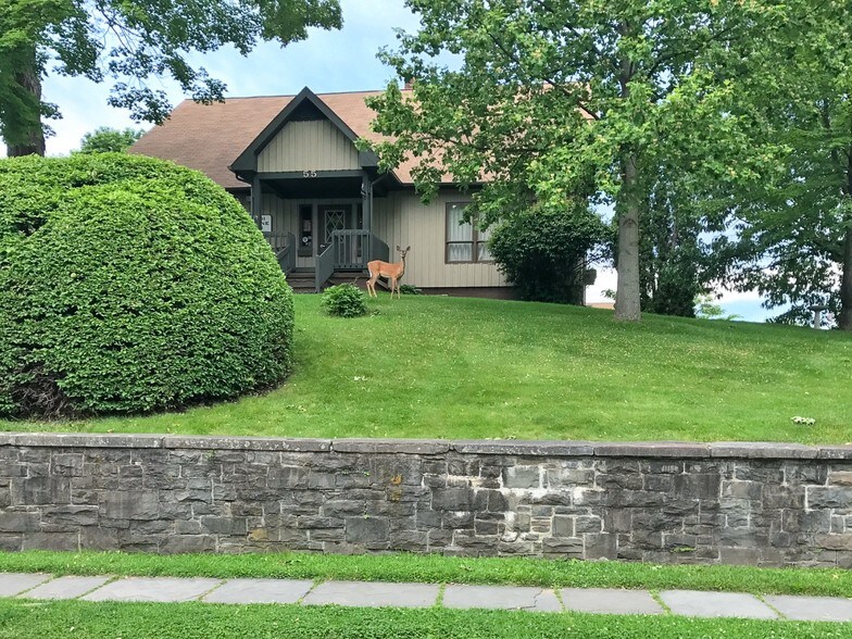 More Photos Of 55 Foxhall Ave, Kingston Office For Sale