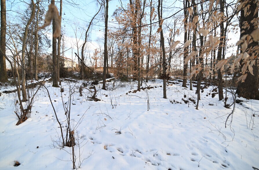 More Photos Of Cherryfield Rd @ Brinkley Rd`, Fort Washington Land For Sale