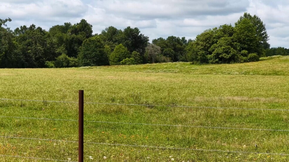 More Photos Of 632 County Road 340A, Milano Land For Sale