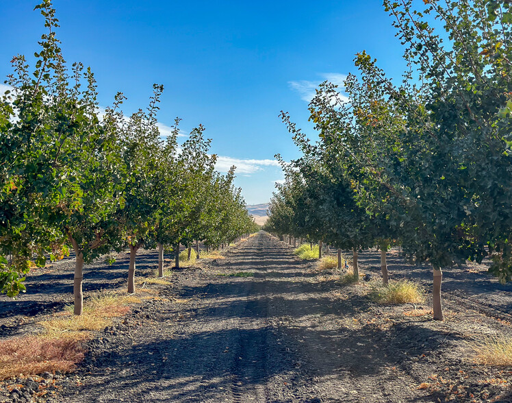 Primary Photo Of Buttonwillow Drive, Buttonwillow Land For Sale