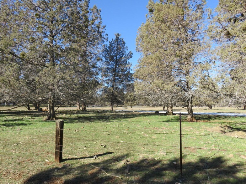 More Photos Of 295 Co Rd 149, Lookout Land For Sale