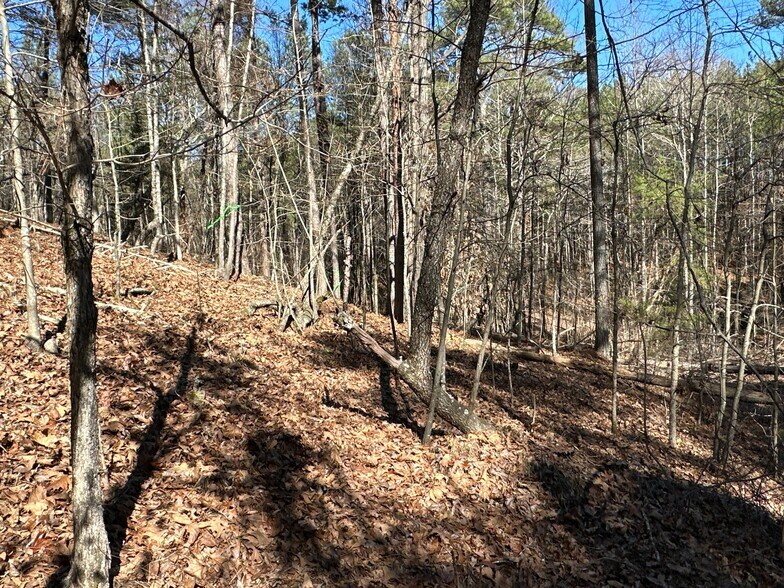 More Photos Of 3472 Prior Station Rd, Cedartown Land For Sale