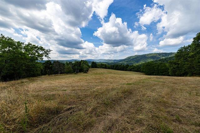 More Photos Of 22590 Criders Rd, Criders Land For Sale