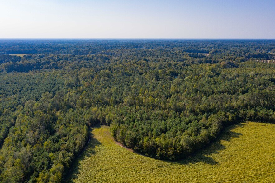 More Photos Of 0 Half Acre Ct, Vance Land For Sale