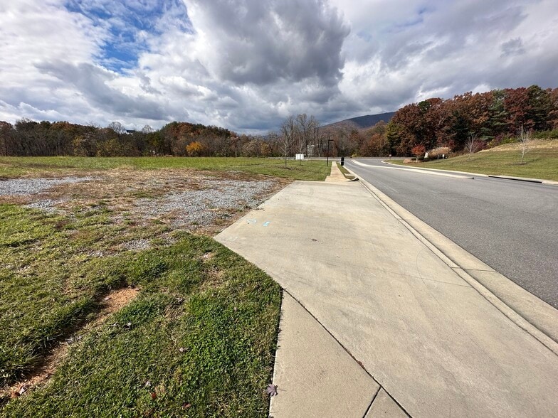 More Photos Of 0 Cove, Roanoke Land For Sale