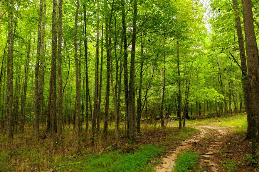 More Photos Of 2199 Roosterville Rd, Roopville Horse Stables For Sale