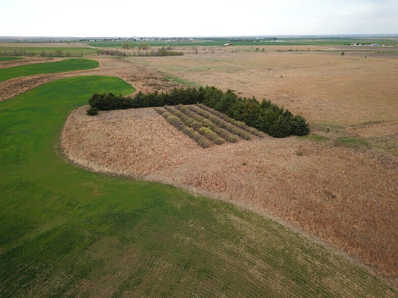 More Photos Of 0 S Rd, Damar Land For Sale