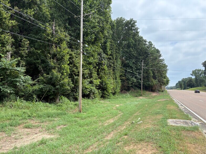 More Photos Of HWY 301, Horn Lake Land For Sale
