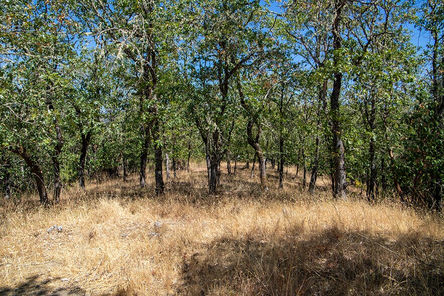 More Photos Of 0 Rosemary Lane Ln, Grants Pass Land For Sale