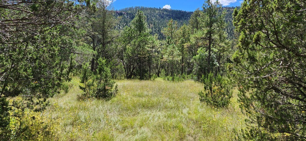 More Photos Of 140 Paradise Canyon Dr, Ruidoso Land For Lease