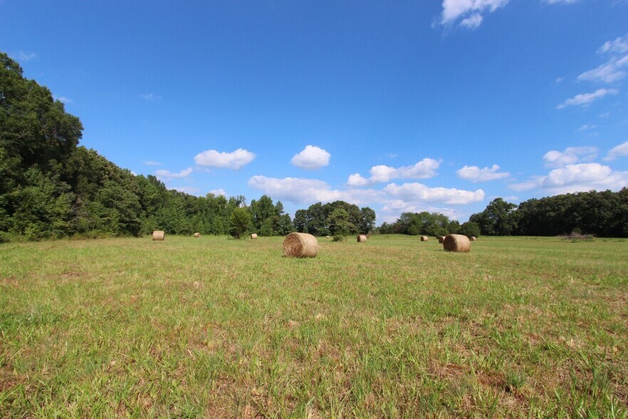 More Photos Of 278 Highway 64 E, Conway Land For Sale