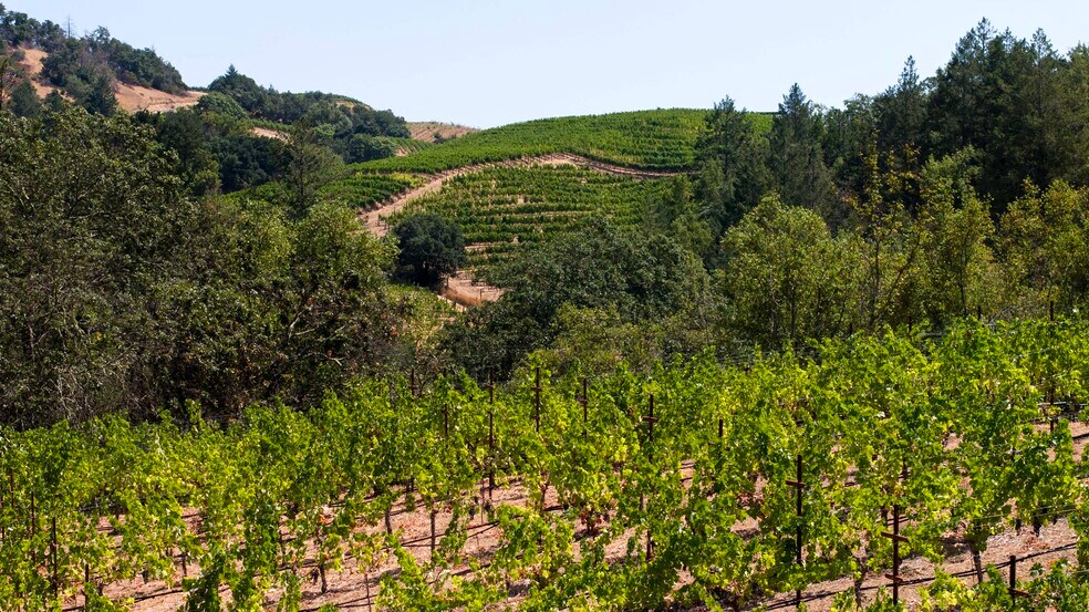 More Photos Of 3000 Mount Veeder Rd, Napa Winery Vineyard For Sale