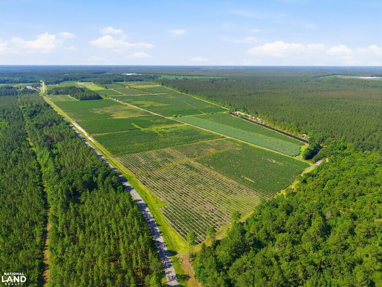 More Photos Of 5478 Halfway Branch School rd, Ivanhoe Land For Sale
