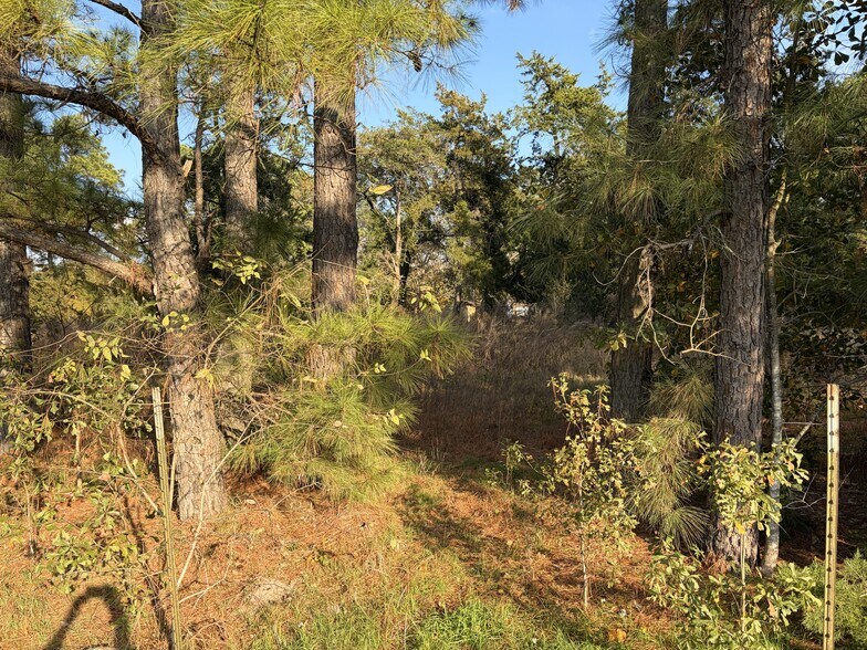 More Photos Of 2995 Pecan Ave, Waller Land For Sale