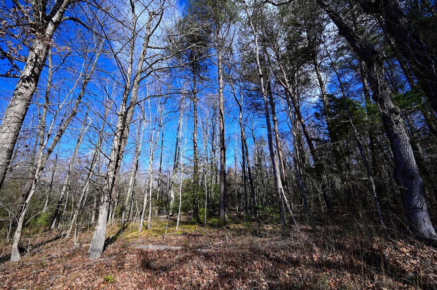 Primary Photo Of Stuckey Rd @ Mason Springs Rd, Indian Head Land For Sale