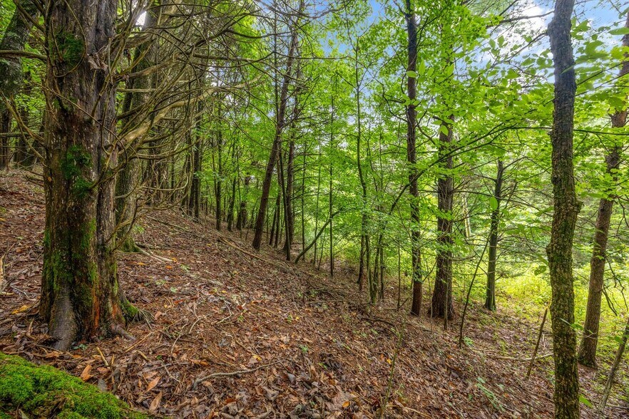 More Photos Of 00 Old Sugar Limb Rd, Loudon Land For Sale