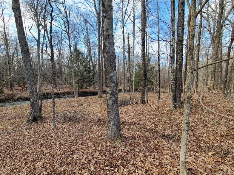 More Photos Of Rt. 52, White Sulphur Springs Land For Sale