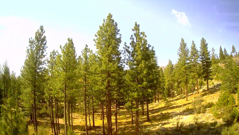 More Photos Of 457-315 Honey View Ln, Milford Land For Sale