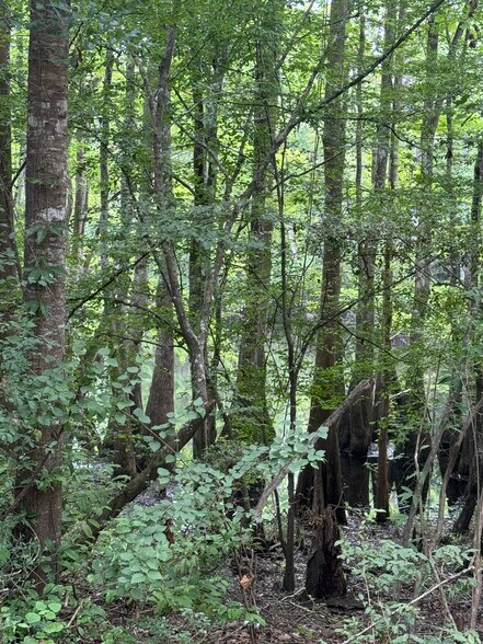 More Photos Of 2610 Highway 4, Jay Land For Sale