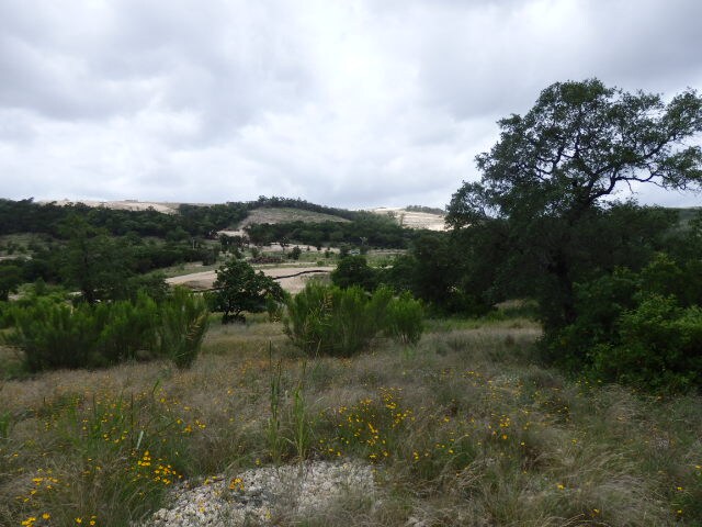 More Photos Of IH-10 & Camp Bullis, San Antonio Land For Sale